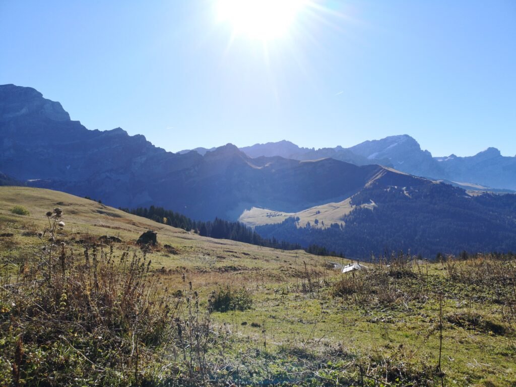 rocky mountains against a blue sky with the sun overhead and grassy foregroud