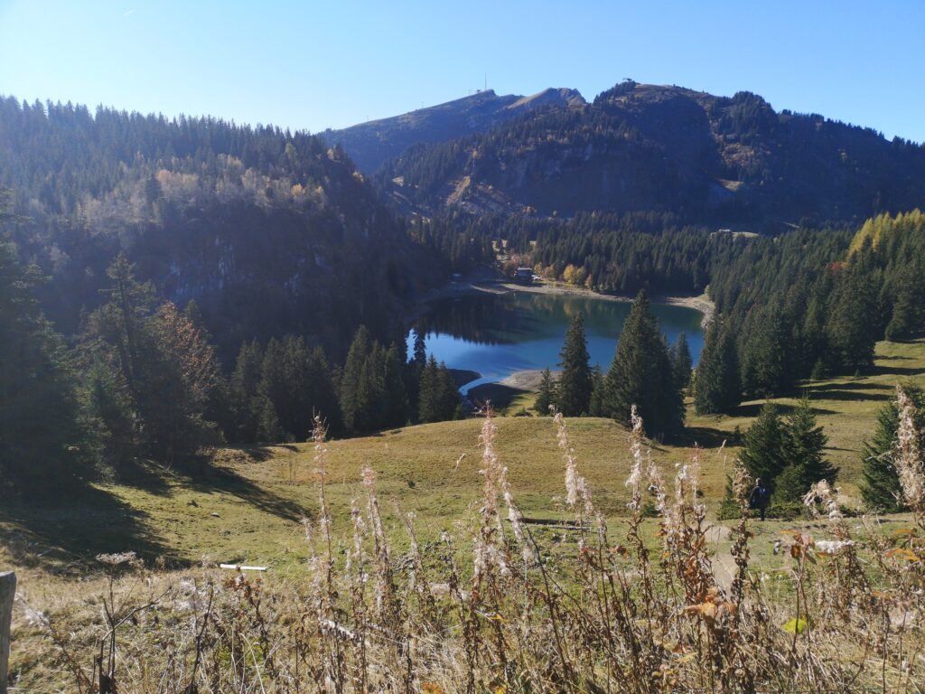 Looking down at a blue mountain lake with pines and hills surrounding